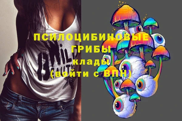 кокаин Новодвинск
